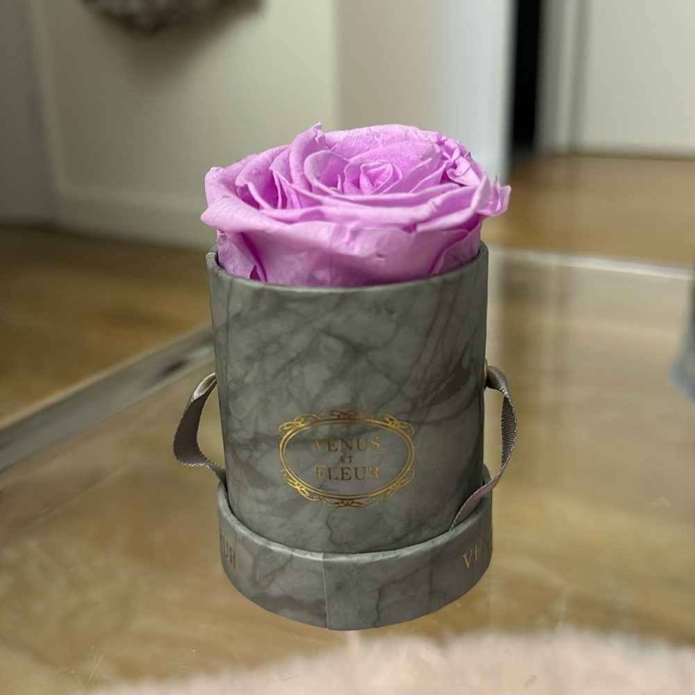 Le mini round Venus Et Fleur Rose